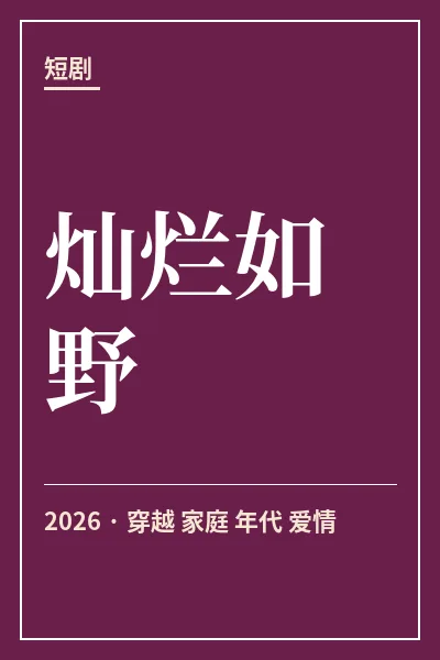 灿烂如野封面